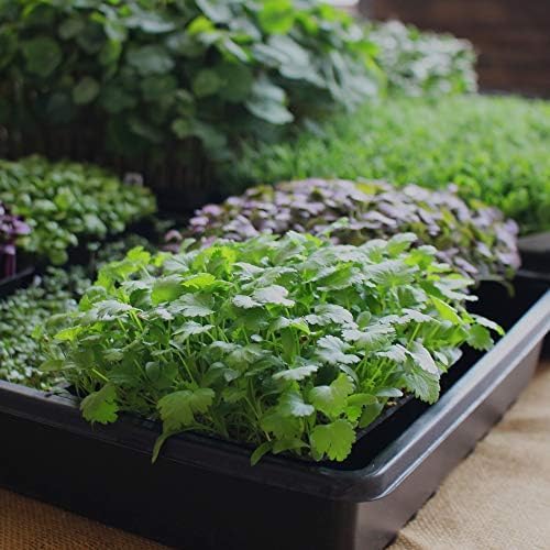 Minute Soil Bulk Coconut Coir Block 6-Pack – OMRI Listed for Organic Use – 72 lb Compressed Soil Expands with Water – Organic Grow Medium for Gardens & Farms