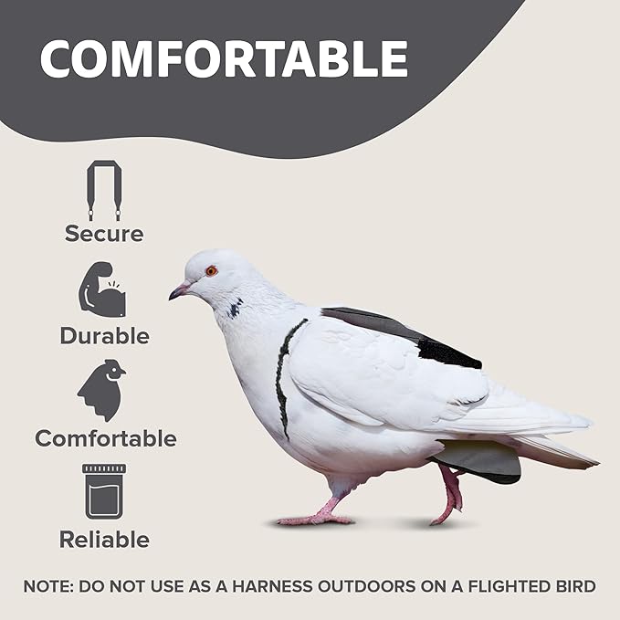 Hen Holster Wrap-Around Bird Diaper & Harness for Larger Pigeons, Small Breed - with Removable Liner, Adjustable Fit for Outdoor Adventures & Indoor Use, Easy to wear - Gray, XS