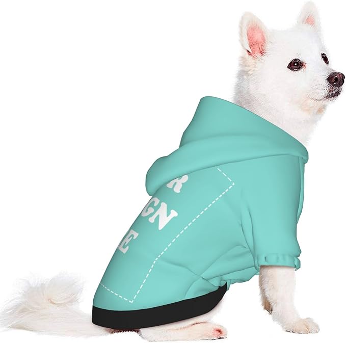 Dog Costume, Custom Dog Hoodie, Dog Name Costume Holiday Pet Pajamas Outfit, Personalized Pet Coat Costumes for Small Medium Large Dogs and Cats for Winter, Turquoise, M