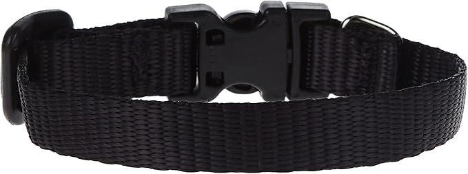 LupinePet Basics 1/2" Black 6-9" Adjustable Collar for Extra Small Dogs