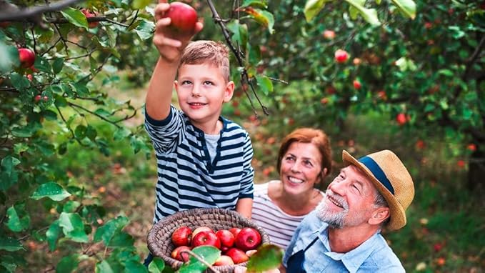 Gardenera Premium Apple Potting Soil Mix - Optimal Nutrient-Rich Blend for Thriving and Juicy Apples - 3 Quart