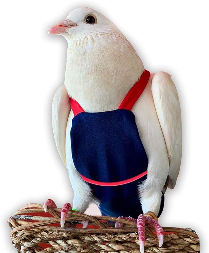 Bev's Bird Boutique Regular Flyper Adjustable Bird Diaper | Reusable, Washable Cloth | Comfort Fit for Parrot, Cockatiels, & Other Small Birds | Fashionable Avian Accessories, Navy & Red, Size 9.5