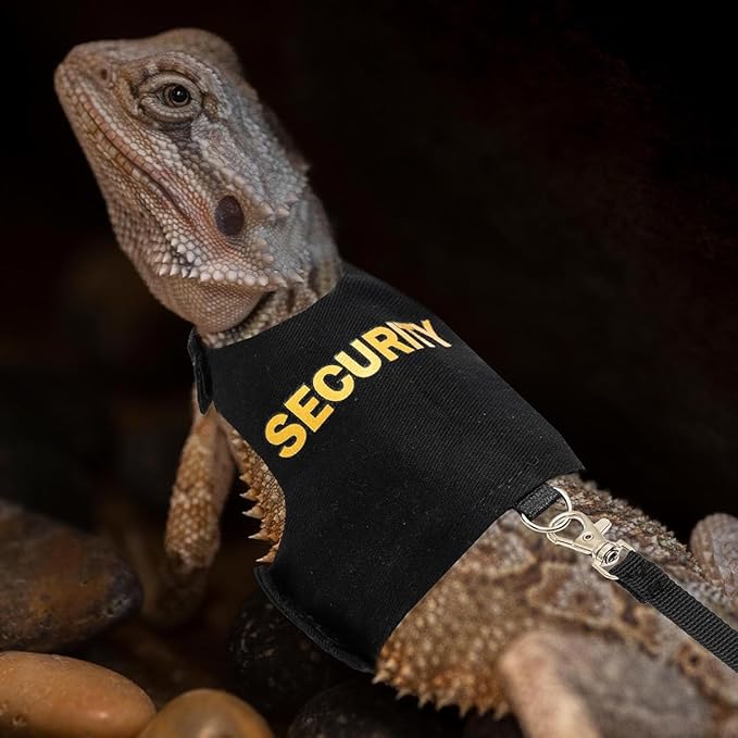 Bearded Dragon Carrier Backpack with Security Printing Harness Leash Set, Reptile Lizard Space Capsule Astronaut Clear Bubble Window Travel Carrier for Small Animal Guinea Pig(Black, Security Harness)