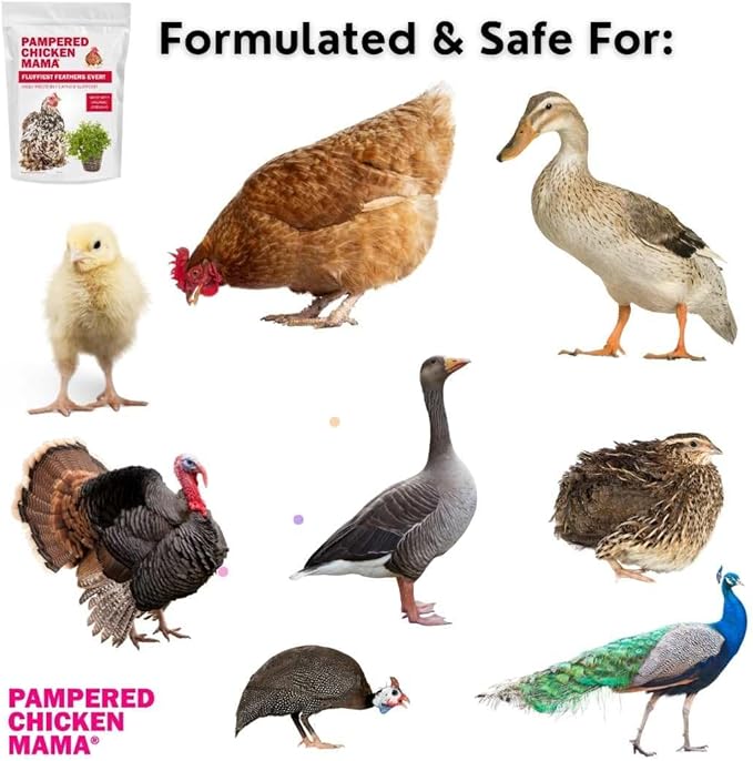 Pampered Chicken Mama Molting Supplement for Chickens: Fluffiest Feathers Ever Backyard Chicken Feed and Supplies for Hens (2 pounds)