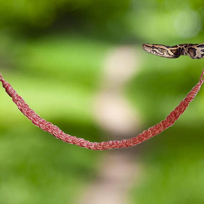 Snake Climbing Toys, Hermit Crab Climbing Toys Reptile Vines Toys for Hermit Crab Bearded Dragon Lizards Geckos Corn Snake