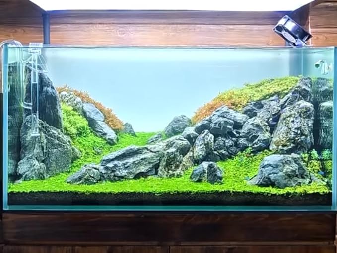 Natural Rocks Seiryu Stones Aquariums Stones for Aquascaping, Aquariums, Terrariums, Vivariums Decorative Stone,Reptile Enclosures,Paludariums,and Gardens-10lb（2 to 7 inch）