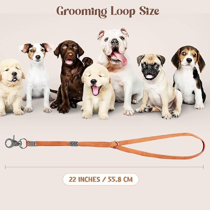 Pet Grooming Loop for Dogs - Nylon Restraint Noose Adjustable Slip Rope Dog Grooming Supplies for Dog Grooming Arm and Pet Grooming Table - 3 Pack