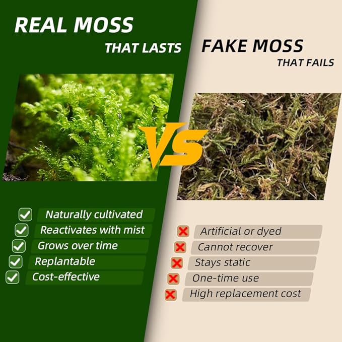 Live Moss Variety Pack – 3-Pack Mixed Mosses (Each 3.5" x 7") – Real Sheet Moss for Terrariums, Bonsai, Reptile Tanks, Succulents & DIY Plant Crafts, Living Moss for Terrarium, Indoor planters