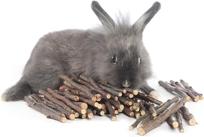 William Craft Apple Sticks Pet Chew Toy Treats for Chinchilla Guinea Pigs Rabbits Squirrel Hamster Bunny