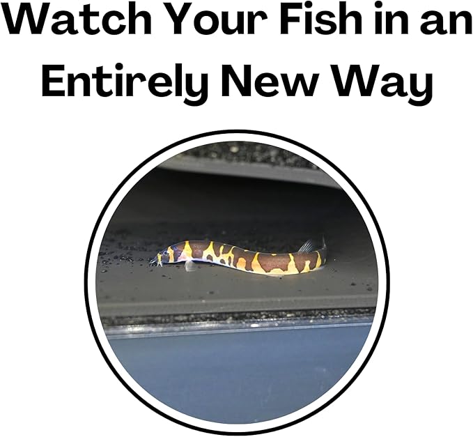 Aquarium Underground Tunnel Cave Natural Curve | Viewing Fish & Shrimp Under Gravel Tunnel | Fish Tank Decor Decoration Hideout Perfect for Corydora Catfish, Kuhli Loach, Clown Loach, Pleco