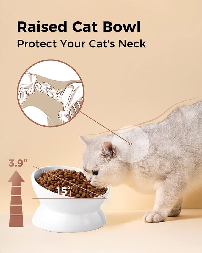 LoeJan Elevated Cat Food Bowl, 5 Oz Ceramic Raised and Tilted Water Bowl, Anti Vomiting and Protect Pets' Spines Dishes for Small Dog, Fat Faced Cat, Kitten (White, 3 Pack)