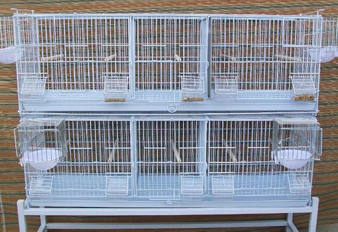 LOT of 2 Extra Large 38"x11"x15"H Stackable Breeder Bird Flight Triple Cage with Removable Double Center Divider and Breeding Nest Box Doors