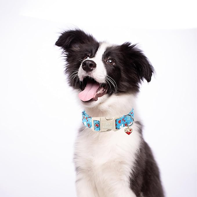 Valentines Dog Collar, Blue Heart Dog Collar, Cute Loving Heart Printed Collar with Quick Release Plastic Buckle for Boys&Girls Dogs, Medium