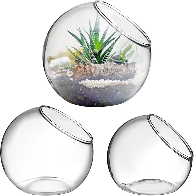 balacoo 3 Pcs Glass Terrariums Bowl for Plants, Terrarium Jar for Air Plant Clear Globe Vase Glass Bowl for Home Desktop Decor