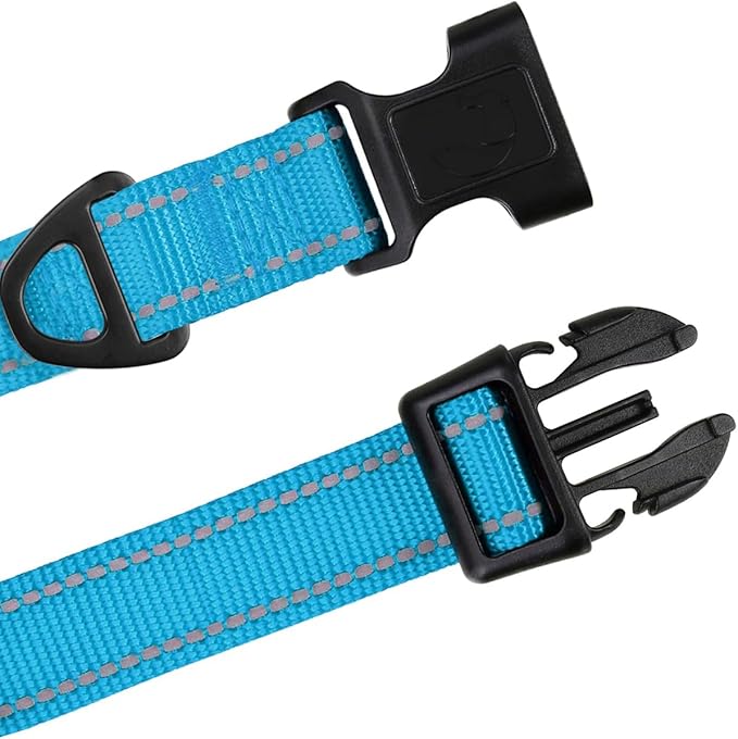 TagME Dog Collars, Adjustable Reflective Nylon Pet Collar with Quick Release Buckle for Medium Dogs, Sky Blue, 1.0" Width