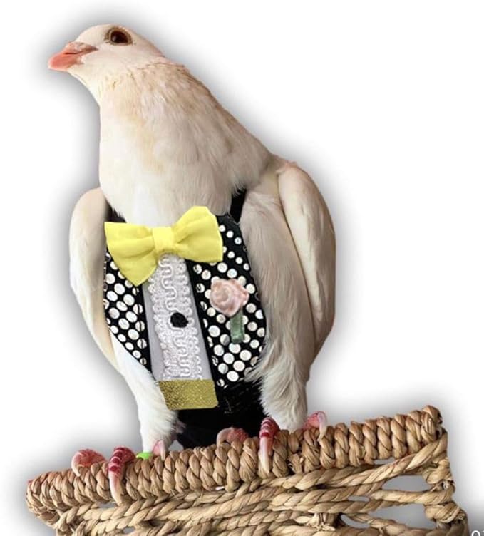 Bev's Bird Boutique Regular Flyper Adjustable Bird Diaper | Reusable, Washable Cloth | Comfort Fit for Parrot, Cockatiels, & Other Small Birds | Fashionable Avian Accessories, Retro Tux, Size 16