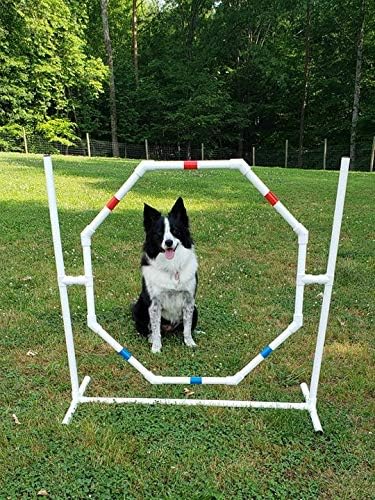 Dog Agility Equipment Deluxe Beginner Set, 3 Bar Jumps, 6 Weave Poles,1 Octagon Hoop Jump Agility Course for Dogs