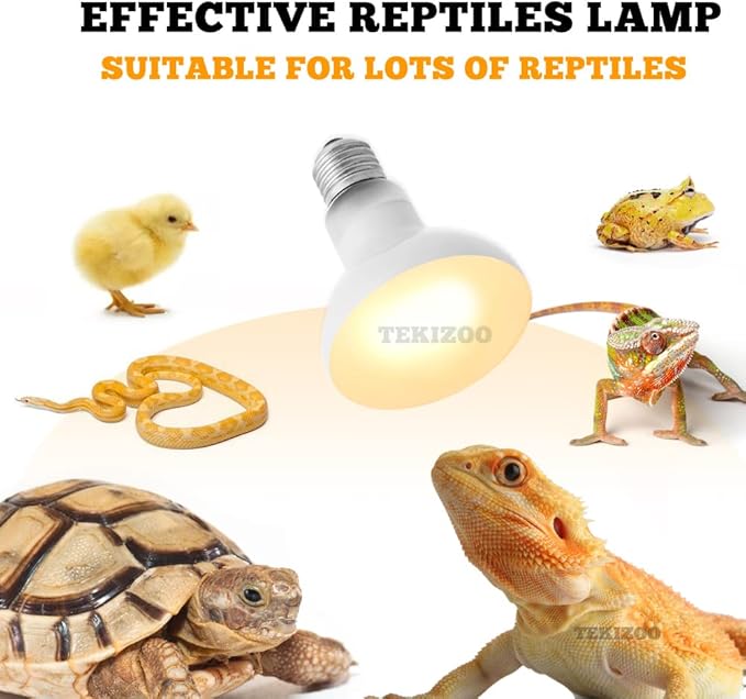 Reptile Heat Lamp Basking Spot Bulb UVA Daylight Light for Amphibian,Lizard,Tortoise,Bearded Dragon 75W (4 Pack)