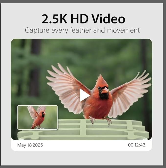 Bird Feeder with Camera Solar Powered, AI Identify Birds Species 10000+, 2.5K HD Video App Live View, Smart Bird Feeder for Outdoors Backyard, Gifts for Birdlovers Mom Dad
