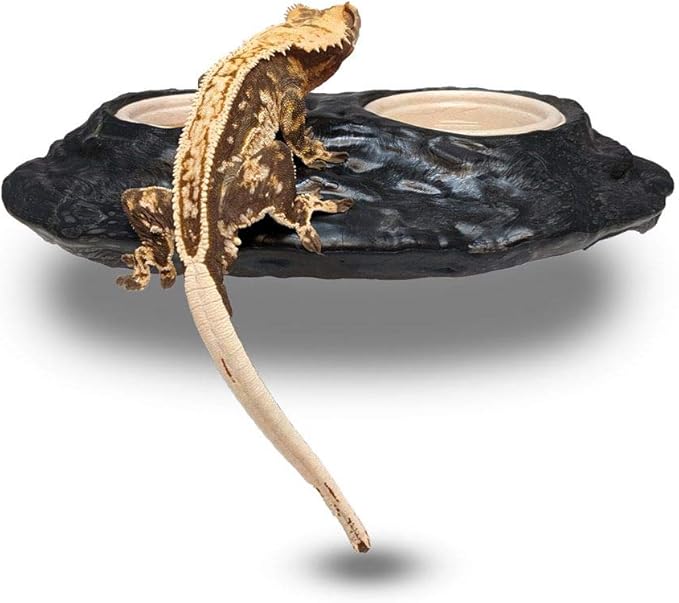 Ultimate Gecko Ledge - Magnetic Reptile Feeder