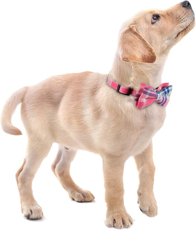 Faleela Soft &Comfy Bowtie Dog Collar,Detachable and Adjustable Bow Tie Collar,for Small Medium Large Pet (Small (Pack of 1), Pink)