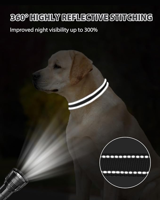 Joytale Reflective Dog Collar, Adjustable Nylon Pet Collar with Quick-Release Buckle for Medium Dogs, Black, M