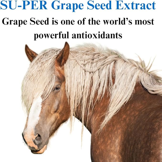 SU-PER Grape Seed Extract Horse Antioxidant - Equine Antioxidant Supplement for Performance Horses - Supports Circulation Respiratory Health & Immune System - 2.5 Pounds, (2 Pack)