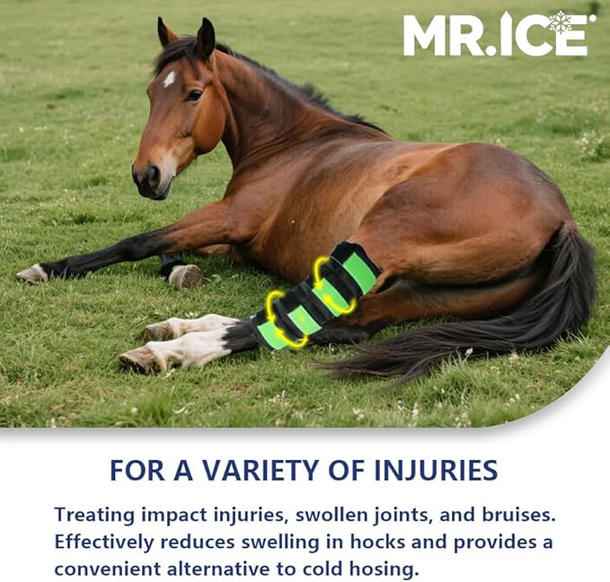 Horse Ice Boots - Reusable Gel Ice Pack for Horses | Cooling Leg Wraps for Hock, Knee, Ankle & Hooves | Horse Supplies & Care Gift Ideas - 1 Pair, Green