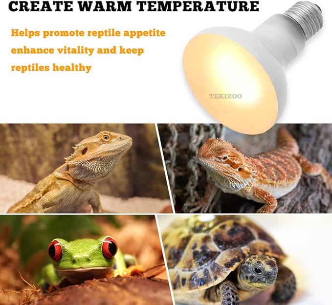 Heat Lamp Bulbs Reptile Basking Light Spot Daylight for Bearded Dragon,Lizard,Tortoise,Amphibian 50W (2 Pack)