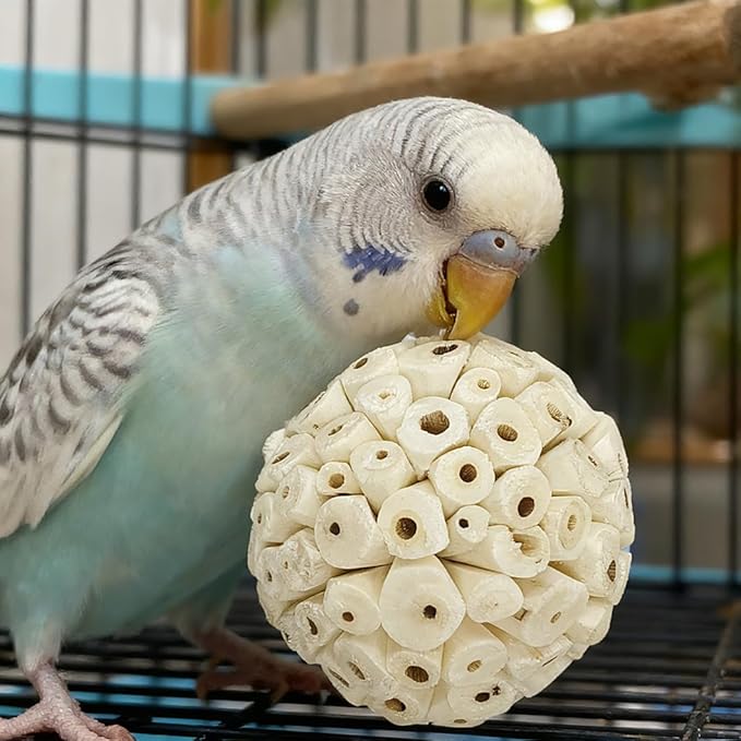 Bird Toys (6Pcs) - Chew Grass Balls, Cage Enrichment | Chewing and Shredding Parrot Toys | Ideal for Parakeets/Cockatiels/Conures/Lovebirds and Small to Medium Birds