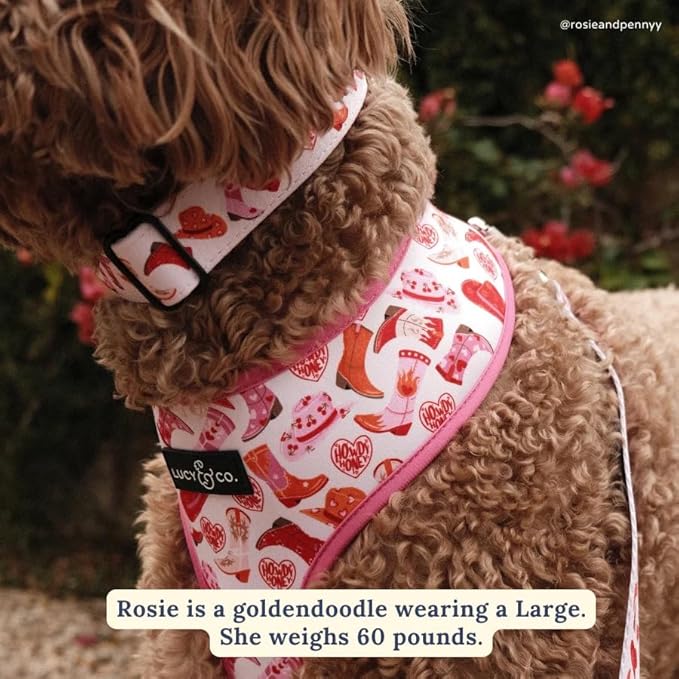 Lucy & Co Reversible Dog Harness | Soft and Padded for Comfort with Ability to Easily Switch Between Two Designer Harness Prints | Adjustable Walking Harness for Large Medium Small Dogs