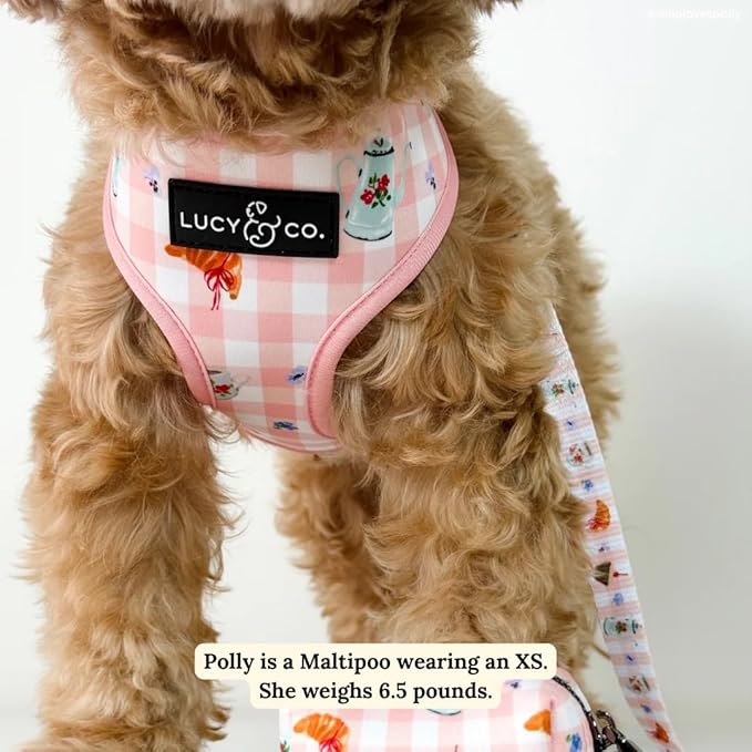 Lucy & Co. Sipping Slowly Reversible Dog Harness, Adjustable Comfort Fit with Dual Leash Attachments, Medium