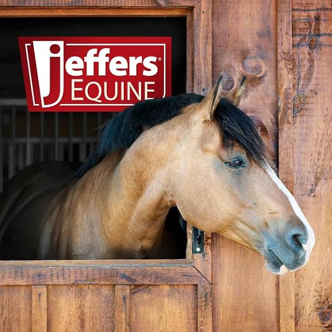Jeffers Equine Antibacterial & Antifungal Medicated Horse Shampoo 32 Oz – Gentle Coconut Oil Based Grooming Shampoo for Horses, Daily Bathing, Show Prep, Trail, Stable, Coat & Skin Care