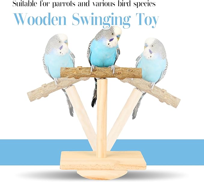Bird Stand Perch Toy,Interactive Rocking Parakeet Toy and Perch, Wooden Exercise Wheel Cockatiel Toy, Intelligence Puzzle Enrichment Toys,Bird Playground Play Stands for Conure Budgie(B)