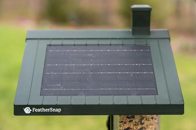 Smart Bird Feeder with AI Identification & HD Camera – Solar-Powered Wi-Fi Feeder Sends Photos & Videos to Your Phone – Includes Pole Mount, Bird Seed, 32GB SD Card, & Cleaning Cloth