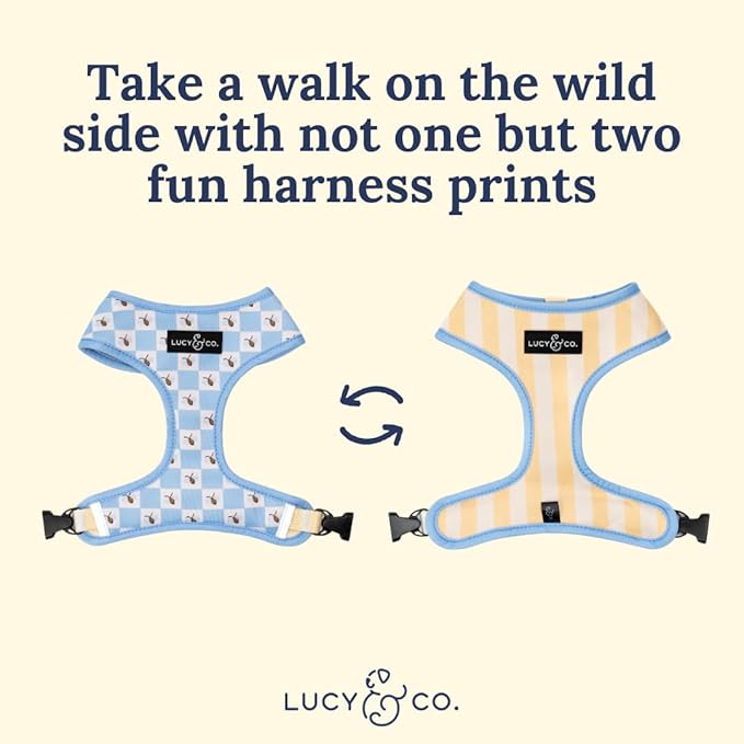Lucy & Co. Bumbling Around Reversible Dog Harness, Adjustable Comfort Fit with Dual Leash Attachments, X-Large