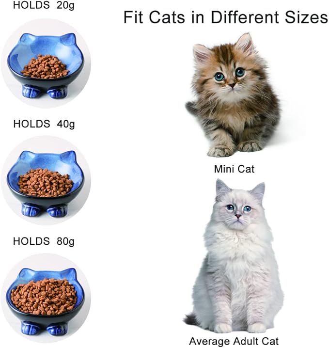 Nihow Ceramic Basic Cat Bowl: 5 Inch Cat Dish for Food & Water - Food Grade, Microwave & Dishwasher Safe - Elegant Blue & Black (4.25 OZ /1 PC)