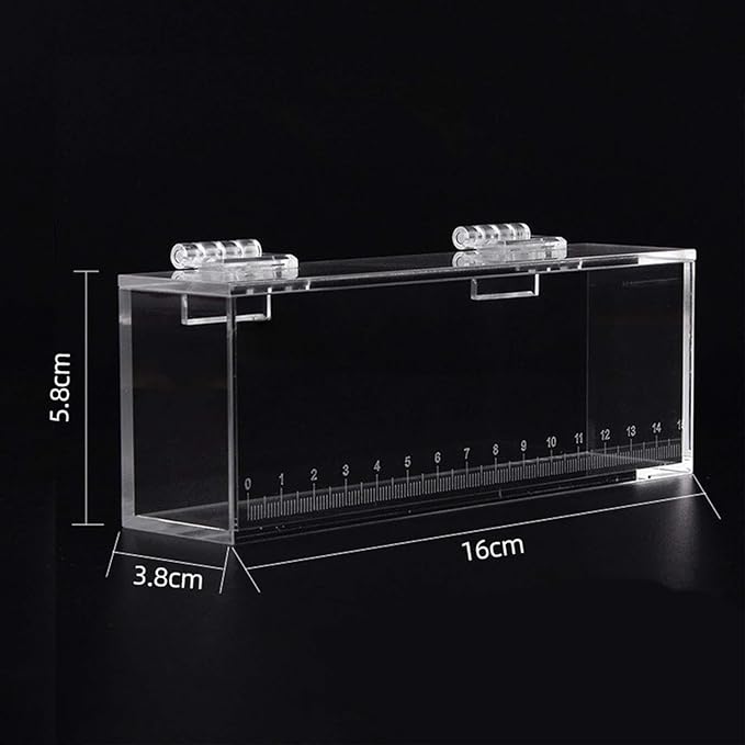 Gazechimp Fishing Photo Tank Fish Viewing Box Acrylic Hatching Incubator Clear Micro Landscape Fish Tank Fish Breeder Isolation Breeder Box with Scale, L