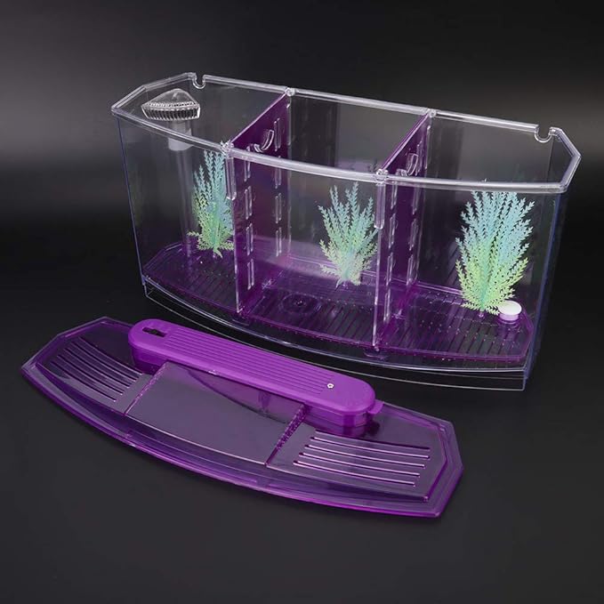 Aquarium Tank, Three Divisions LED Acrylic Fish Tank, Desktop Aquarium | Portable Fish Tank | Travel Fish Tank | Cool Fish Tank | Breeding Isolation Box Fishtank for Baby Fish
