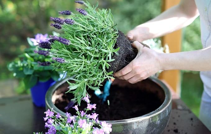 Gardenera Organic Moisture Control Potting Mix - Absorbs 33% More Water Than Basic Potting Soil - 4 Quart