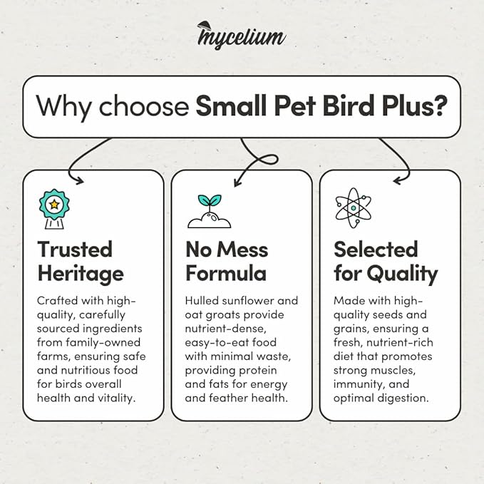 Mycelium Small Pet Bird Plus | Bird Seed for Cockatiels, Parrots, Lovebirds | Organic Mix with Vitamins, Egg, Oyster Shell, Pumpkin & Safflower | Supports Digestion & Feather Health | 5 lb Bag