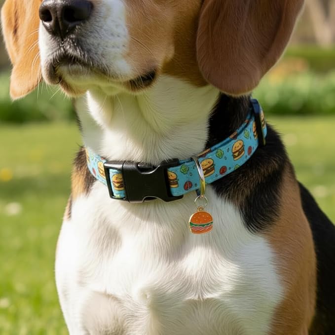Cute Dog Collar, Blue Dog Collar with Burger Pattern and Cute Charm, Puppy Collar with Quick Release Buckle and Durable Fabric, Suitable for Small Dogs