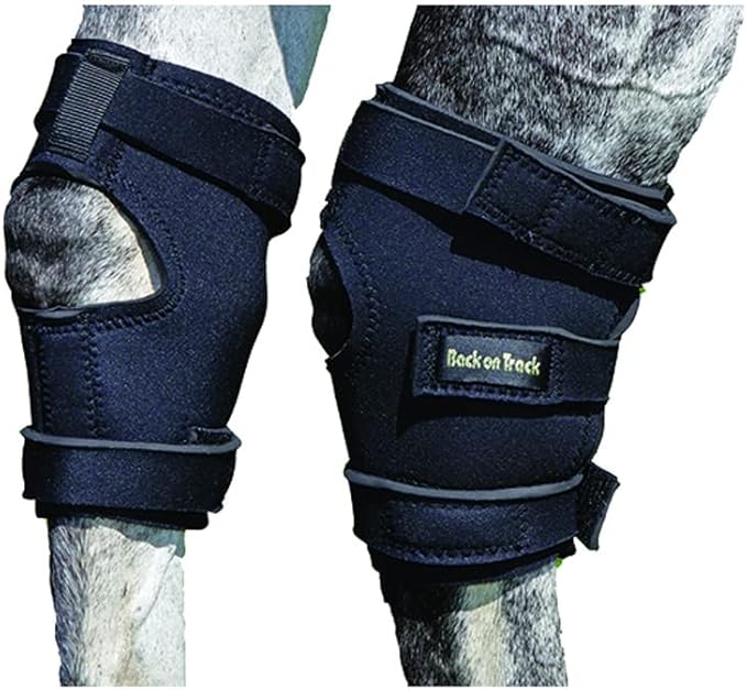 Back on Track Therapeutic Hock Boots Medium