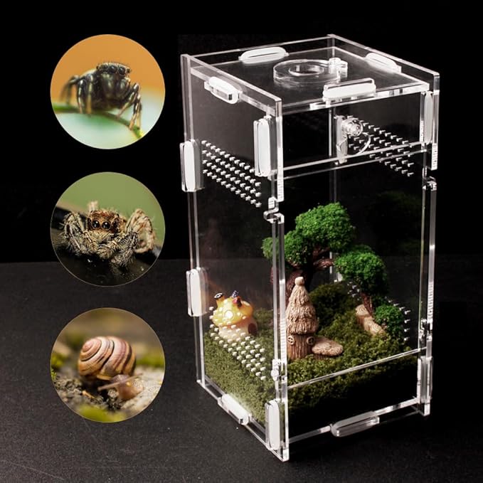 Acrylic Jumping Spider Enclosure, Small Reptile Terrarium Habitat for Tarantula Snail Insect Small Reptile (3.3x3.7x7inch)
