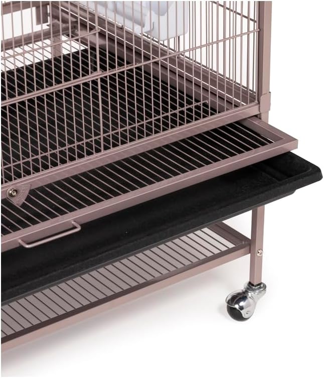 French Fabulous Iron Flight Cage with Elegant Ironwork, Spacious Interior, Durable Construction, and Ample Room for Birds to Fly, Play, Blush/53 H