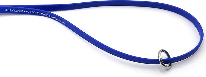 Jelly Pet Grooming Loop for Dogs | Groomers Helper | BioThane Material is Easy to Clean, Waterproof & Durable Noose Loop | Fits Most Pet Grooming Tubs/Tables/ 3/8” x 24” W/Ring Teal | Made in The USA