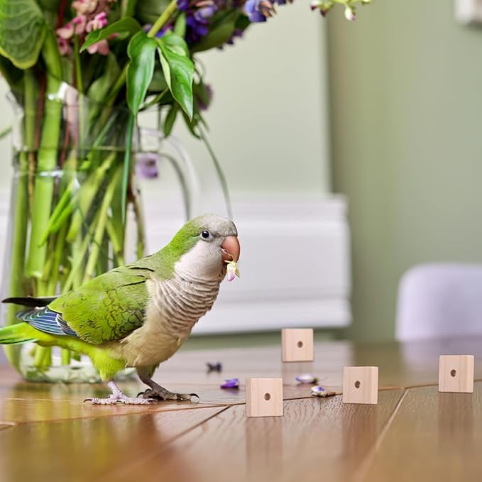 NOLITOY 100pcs Parrot Chewing Toy Parrot Toy Hanging Bird Toy Wooden Bird Toys Parrot Cage Climbing Toys Bird Teething Toys Parrot Hanging Chewing Toy Bird Chew Toy Macaw Toys