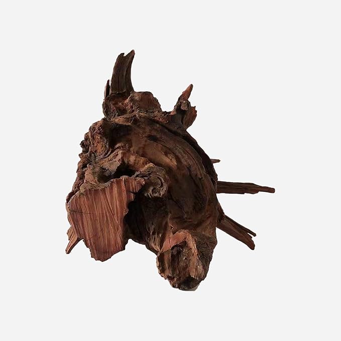 LYPHARD AQUARIUMS Natural Driftwood for Aquarium Decor, L12.99×W14.96×H13.78 Inches Large Drift Wood Decorations for Reptile Hide, Fish Tank, Optional Shapes