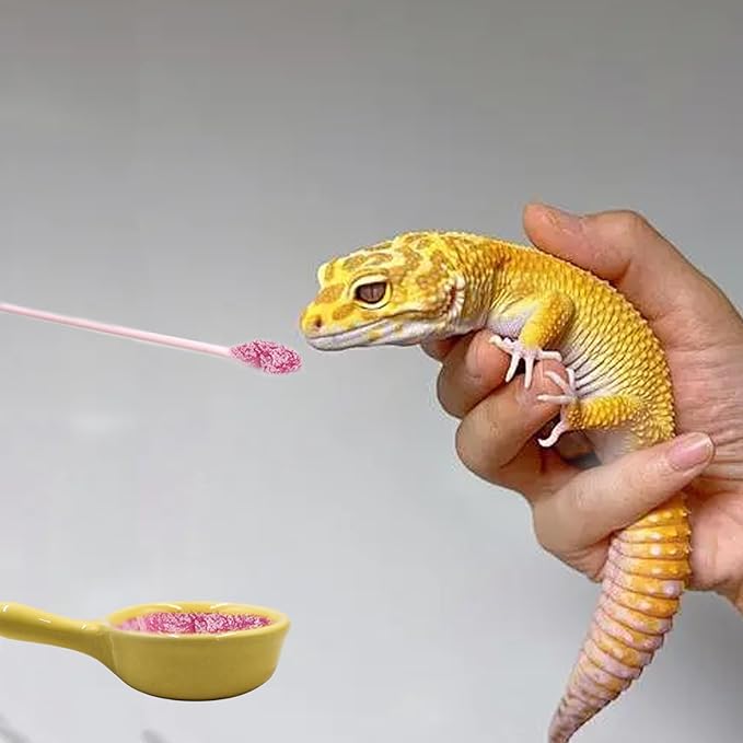 Gecko Accessories, Ceramic Food Bowl with Silicone Spoon for Puree, Reptile Food Dish for Crested, Leopard