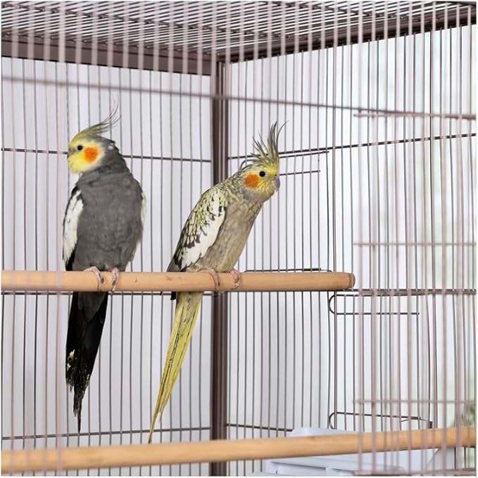 French Fabulous Iron Flight Cage with Elegant Ironwork, Spacious Interior, Durable Construction, and Ample Room for Birds to Fly, Play, Blush/53 H